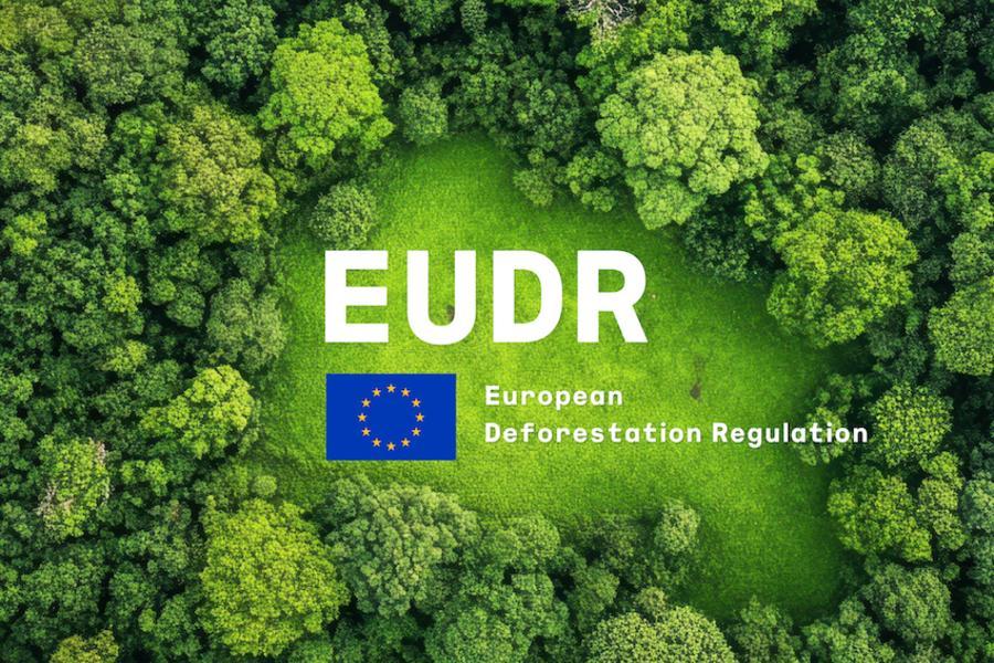 Wat is de EUDR? Alles over de EU Ontbossingsverordening voor verpakkingen