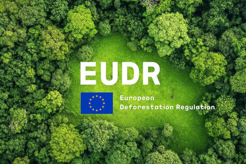Wat is de EUDR? Alles over de EU Ontbossingsverordening voor verpakkingen