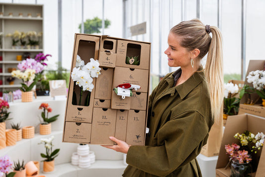 Verpakking als marketingtool: het verhaal achter de Kolibri Adventskalender