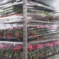 Gatenfolie Fleur Light 450mm x 300m x 12 micron