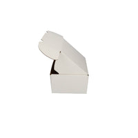 Postdoos 210 x 160 x 95 mm wit B-golf – foto 4